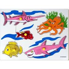 Little Genius Fish Tray